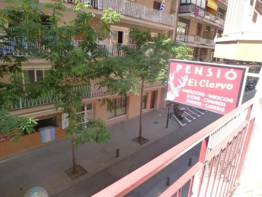Pension El Ciervo - Image 1
