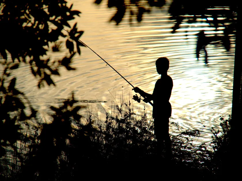 Wooli River Lodges - Image 1