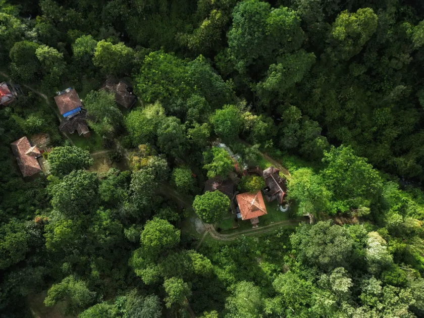 Mahout Resort Wayanad - An Experiential Jungle Stay with Waterfall - Image 1