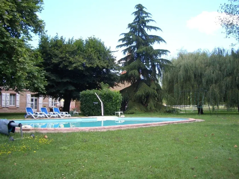 Le Platane - Image 1
