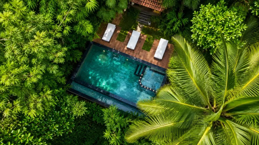 Amritara Dominic's Nature Retreat & Spa Wayanad - Image 1