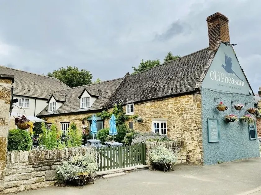 The Old Pheasant - Image 1