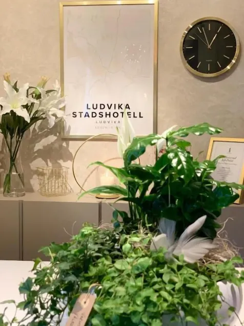 Ludvika Stadshotell - Image 1