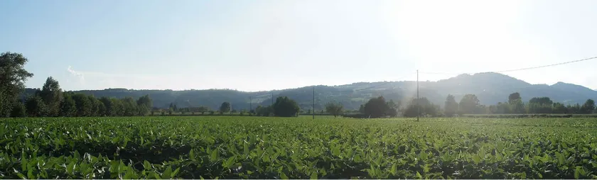 Agriturismo Alla Corte - Image 1