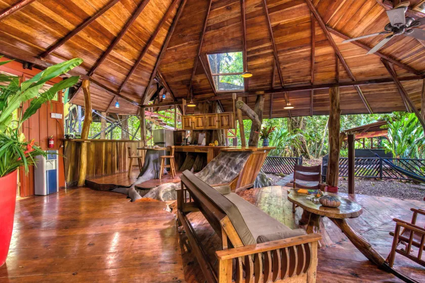 Tree House Beachfront Lodge - Image 1