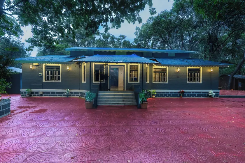 Shalimar in the Forest - Image 1