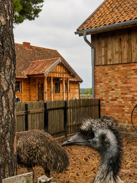 Farma Puchałowo - Image 1