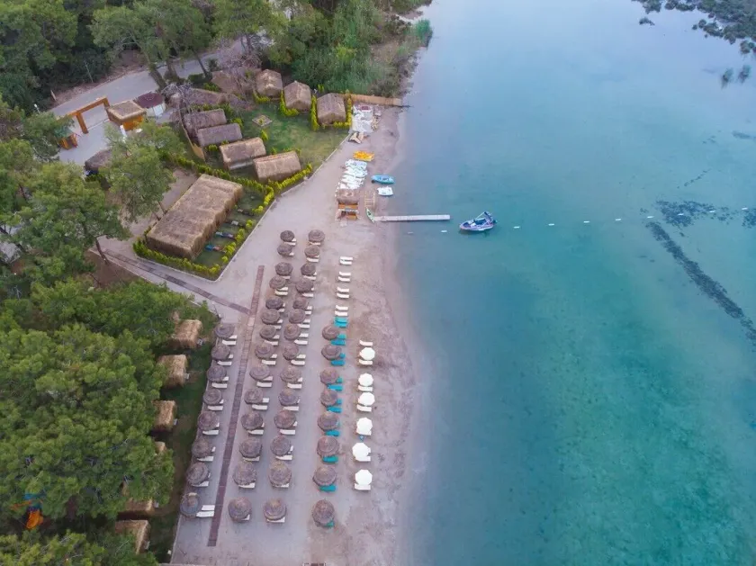 Green Pine Bungalows & Beach Luxury Concept - Image 1