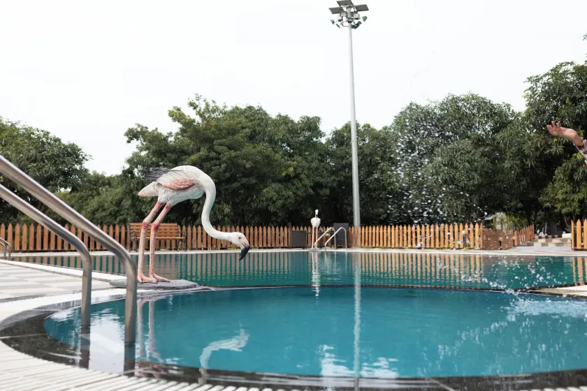 Freesia Resort by Express Inn - Image 1