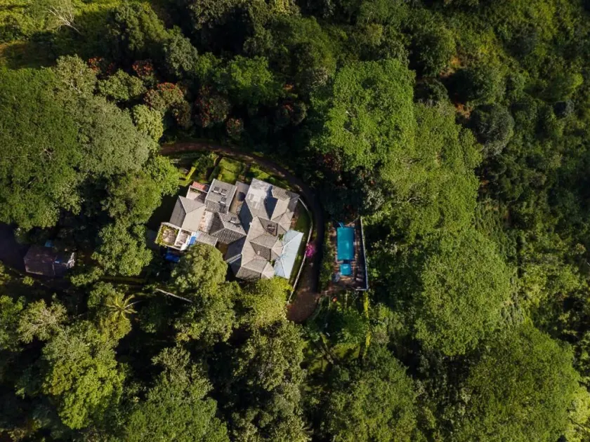 Ashburnham Estate-98 Acre Tea Estate with Private Waterfalls - Image 1