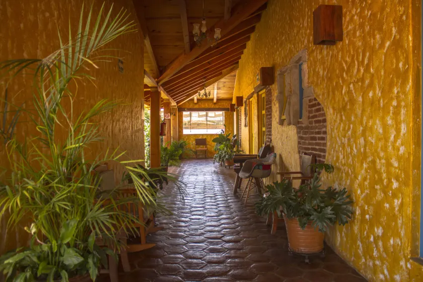 Hotel Posada Primavera - Image 1