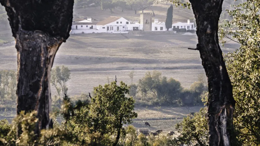 Herdade da Maxuqueira - Image 1