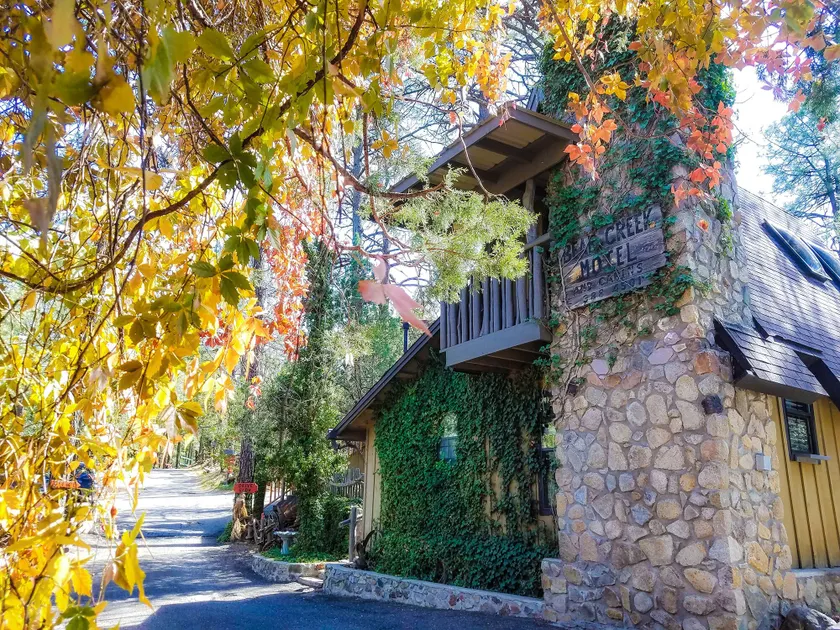Bear Creek Motel And Cabins - Image 1