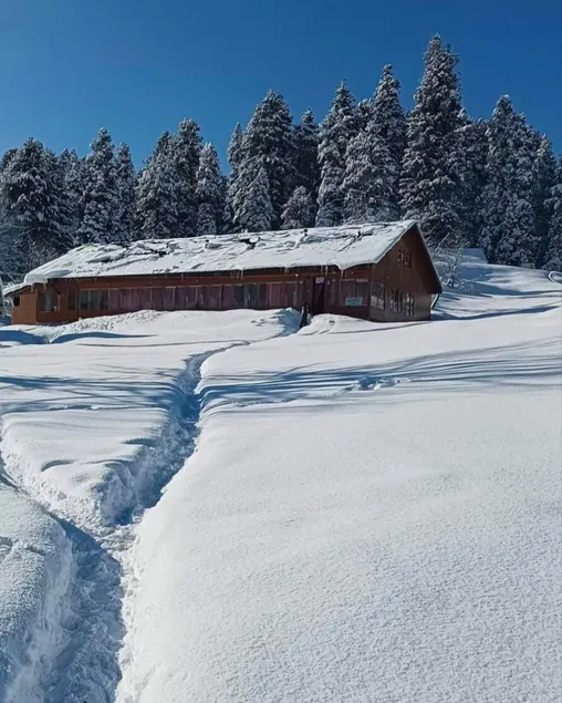 Hotel Roseland Cottage Gulmarg - Image 1