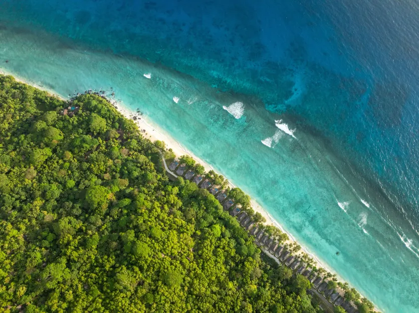 Niva Labriz Seychelles - Image 1