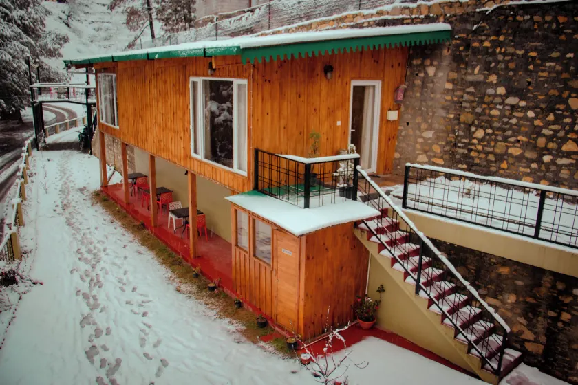 THEHIMALAYANLIVING WHISTLING PINES - Image 1