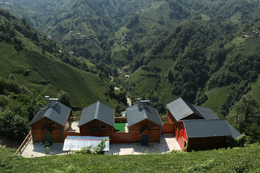 The Reo's Suit - Image 1