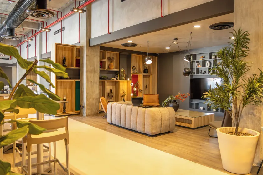 Ibis Hermosillo - Image 1