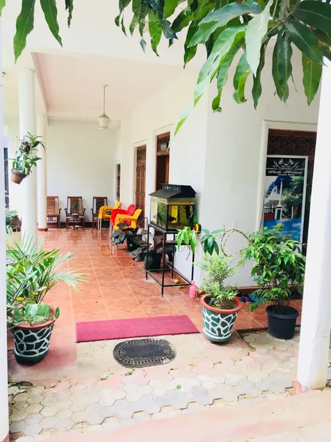 Sudu Neluma Home Stay - Image 1