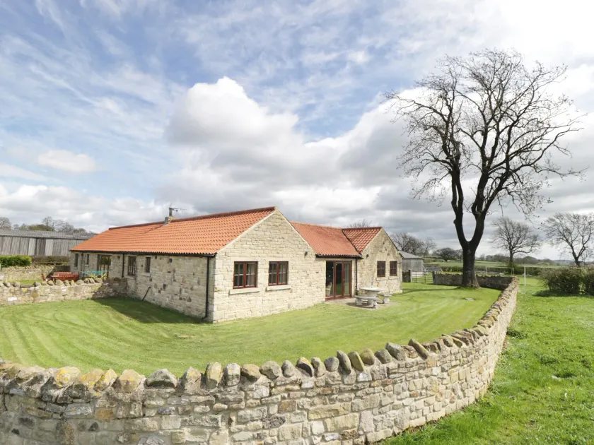 Wellberry - Image 1