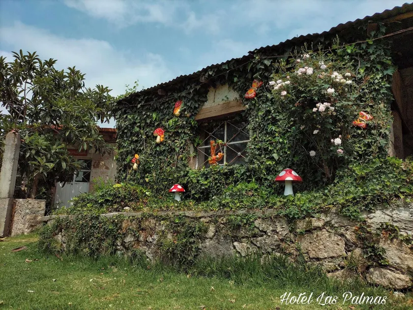 Hotel Las Palmas By GEstores - Image 1
