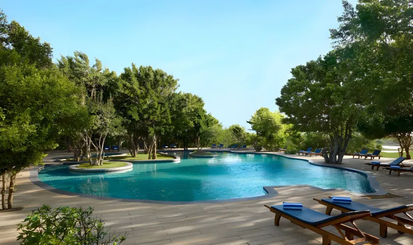 Cinnamon Wild Yala - Image 1