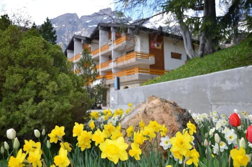 Hotel Alex - Image 1