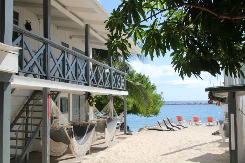 Coral Reef Beach - Image 1