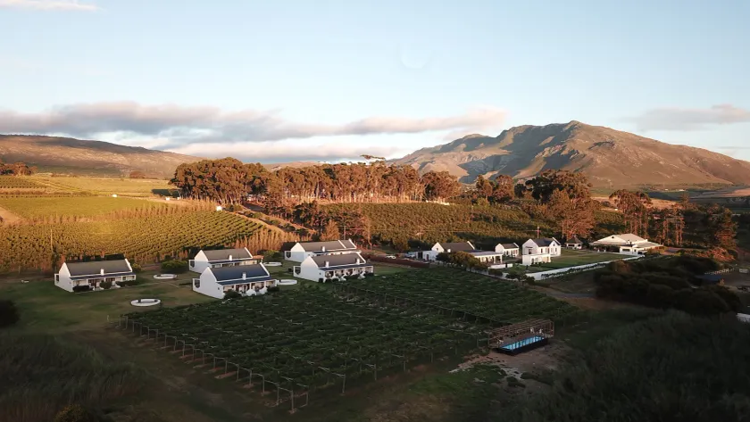Endless Vineyards at Wildekrans Wine Estate - Image 1