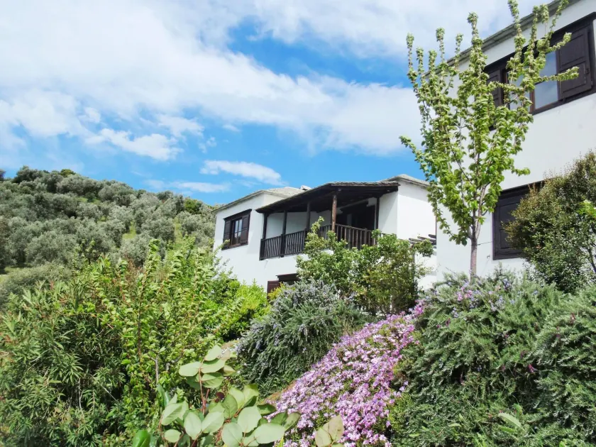 Traditional Luxury House In Pelion "erato" - Image 1