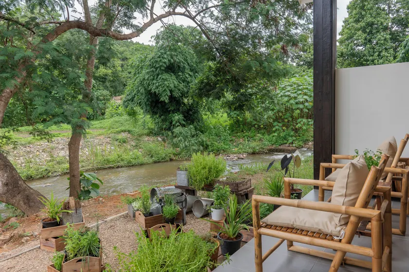 Sirin Farm Chiang Rai - Image 1
