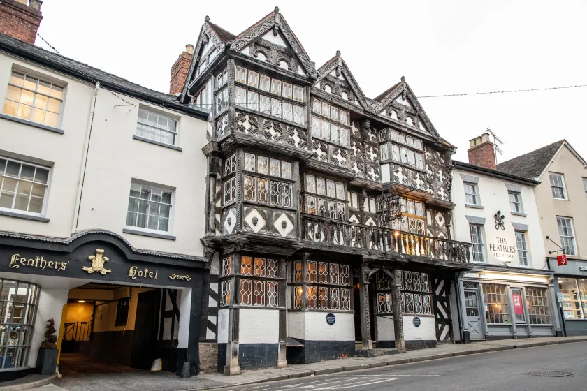 The Feathers Hotel - Image 1