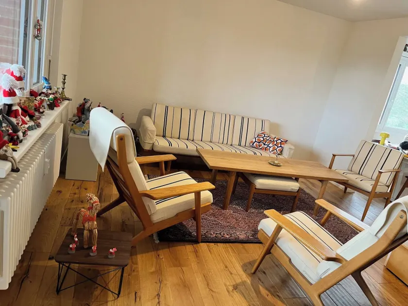 Green Basel Home - 5 beds free parking - Image 1