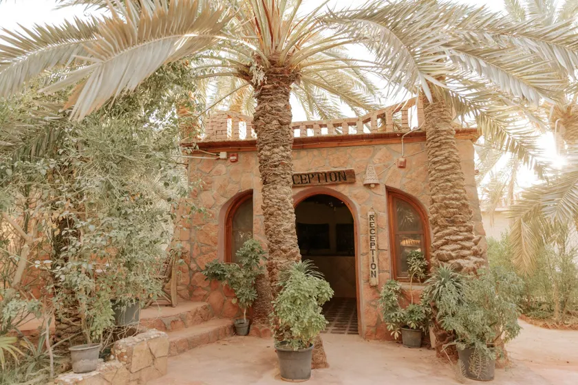 Siwa Safari Paradise Hotel - Réception