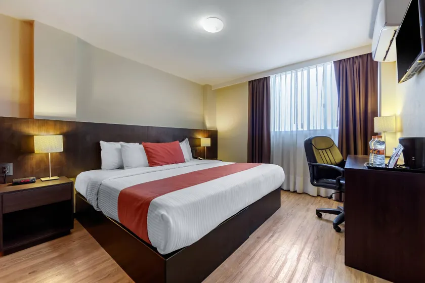 Comfort Inn San Luis Potosi - Image 1