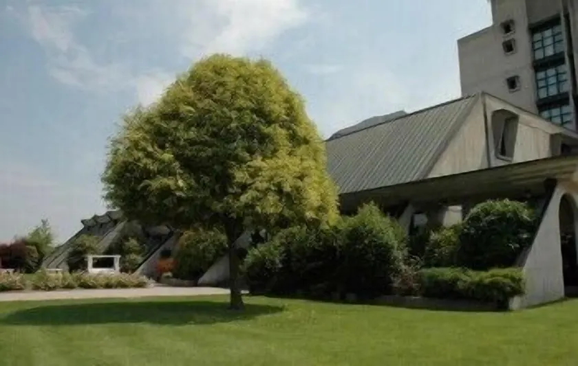 Hotel Cavallino - Image 1