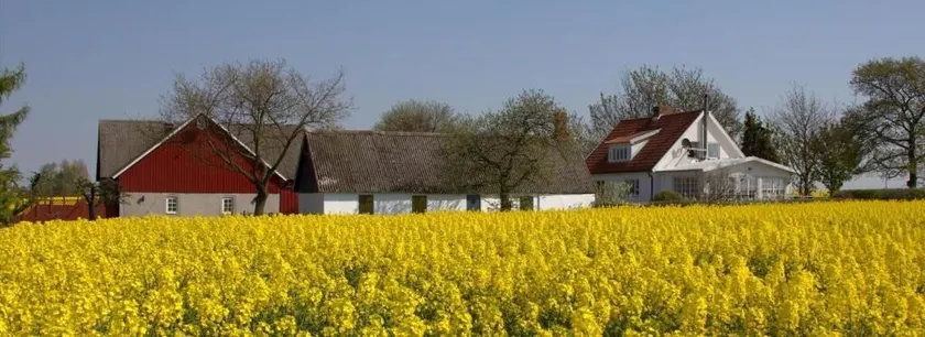 Sydkustens at Lillehem - Image 1