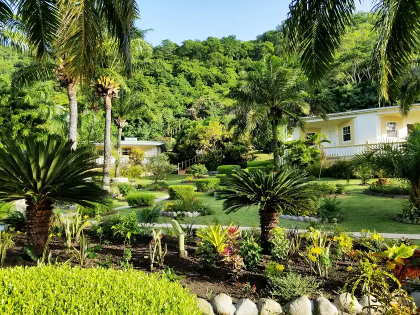 Blue Horizons Garden Resort - Image 1