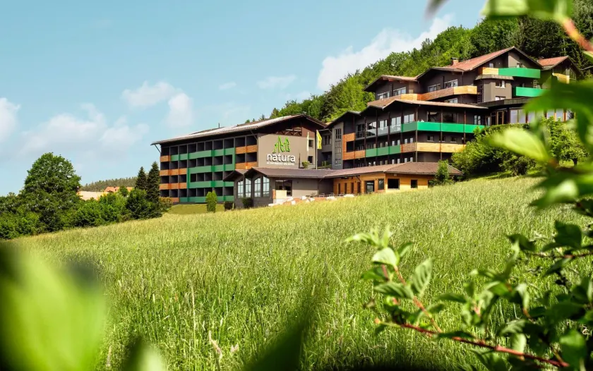 Natura Hotel Bodenmais - inkl Soft- und Heißgetränkeflat - Image 1