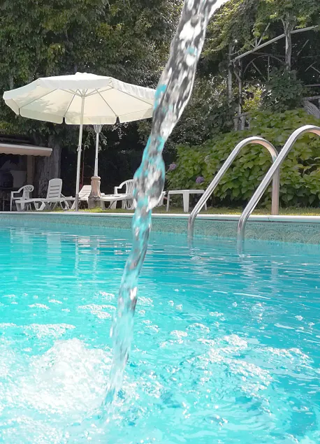 Alegre - Bussaco Boutique Hotel - Image 1