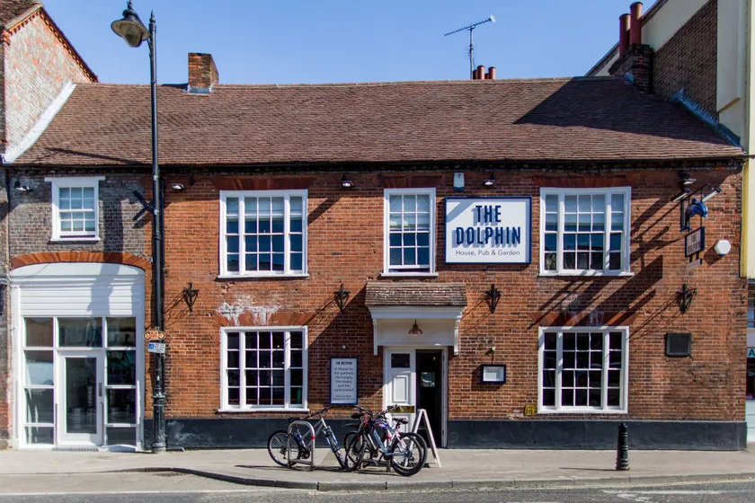 The Dolphin - Image 1