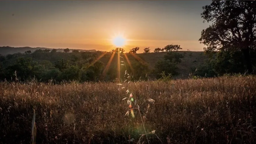 Herdade da Maceira  - Image 1