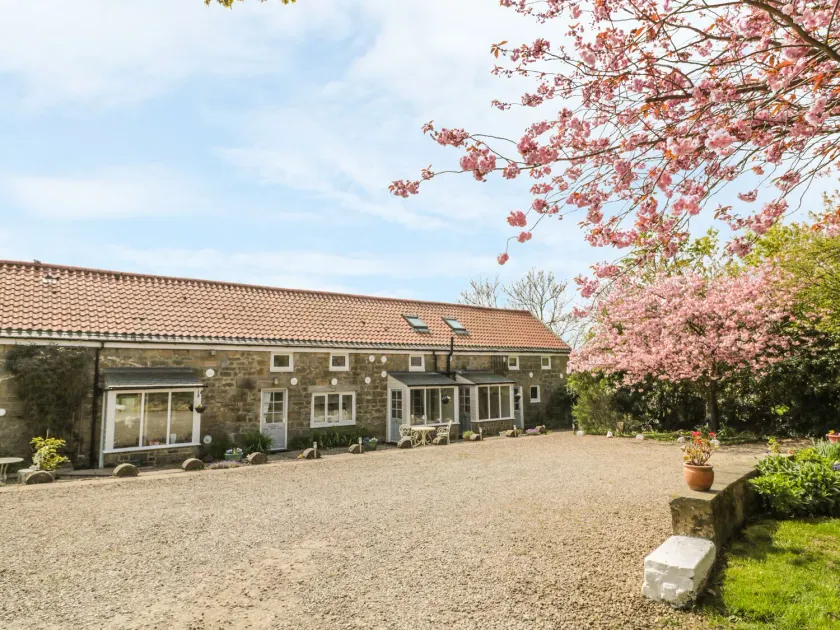 Robin Cottage - Image 1