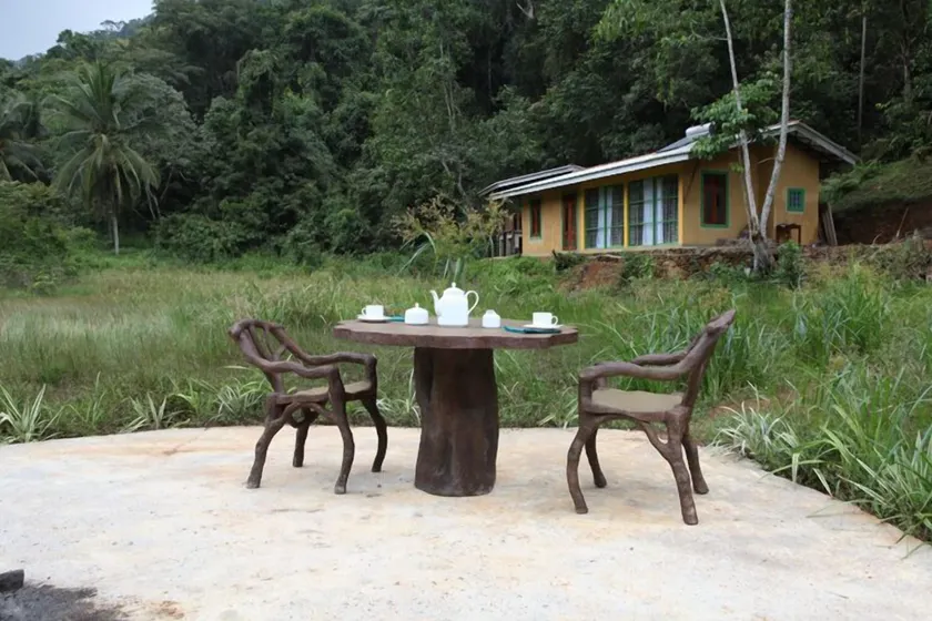Sinharaja Forest Edge - Image 1