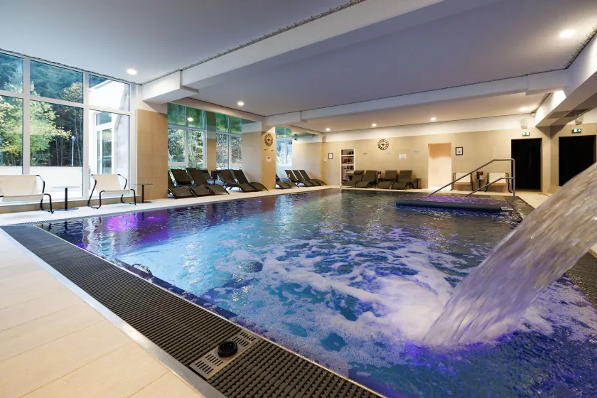 Hotel SPA Restaurant Husseren Collections - Proche Colmar - Eguisheim - Image 1