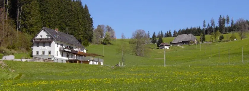 Gasthaus Pension Donishäusle - Image 1