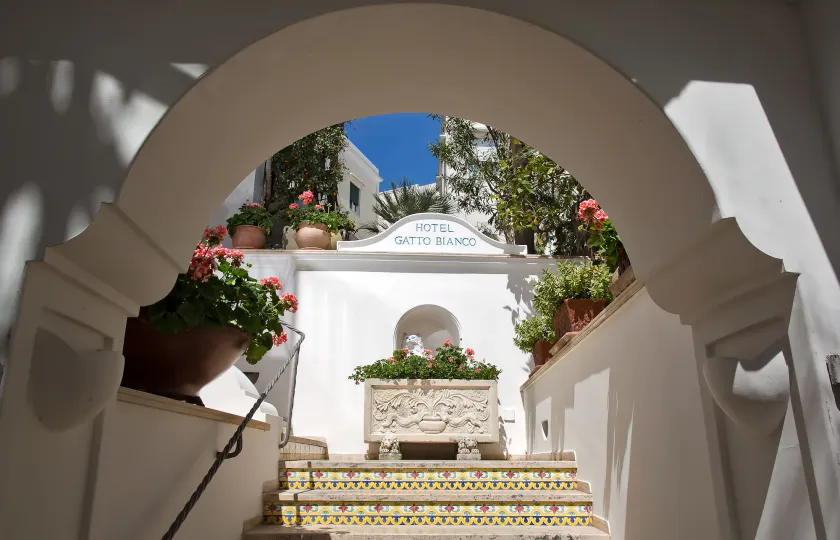 Albergo Gatto Bianco - Image 1