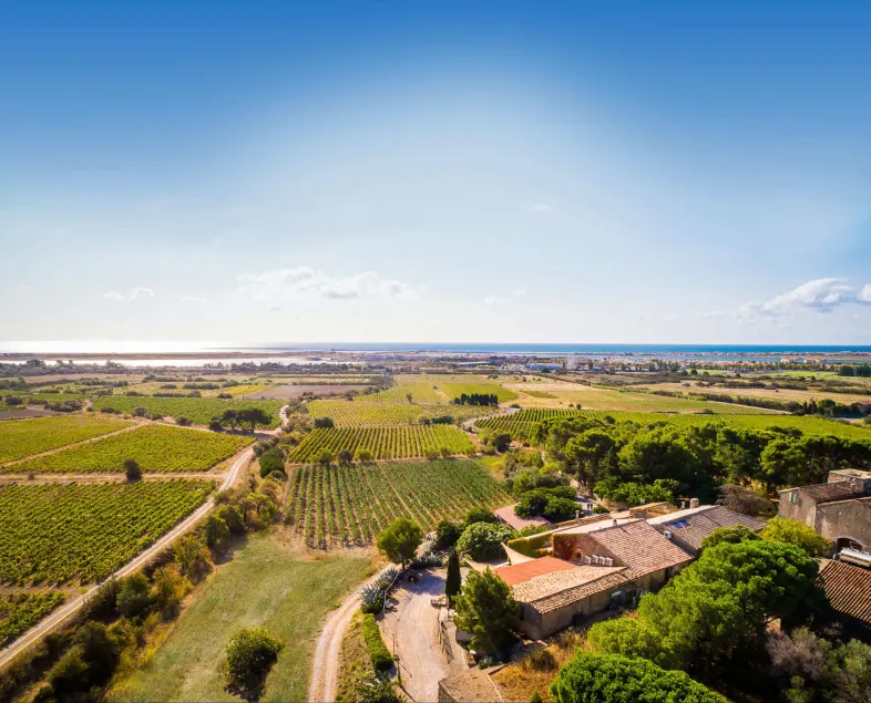 Château Le Bouïs - Image 1