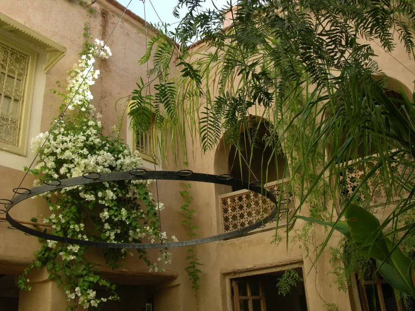 Dar Zahia - Image 1