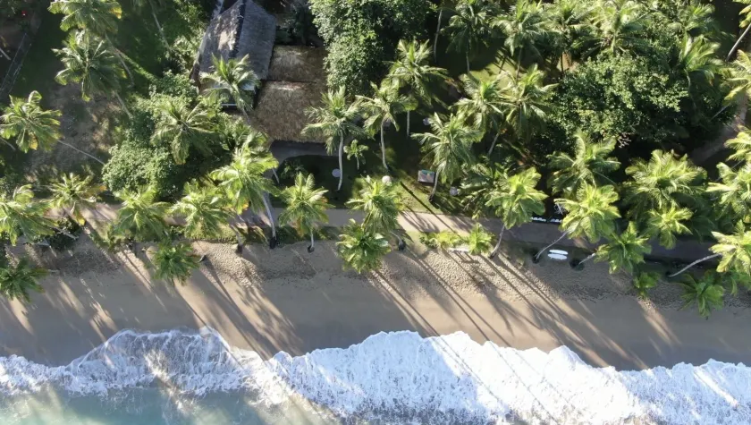 El Mosquito Boutique Hotel Playa Bonita - Image 1